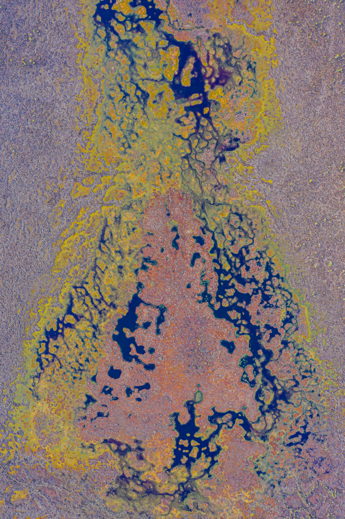 HOW MINERALS, ENZYMES & MICROBES CREATE LIFE